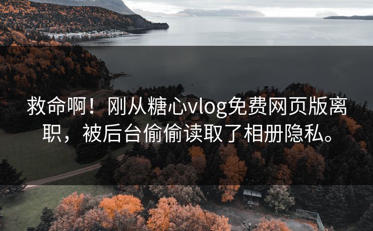 救命啊！刚从糖心vlog免费网页版离职，被后台偷偷读取了相册隐私。