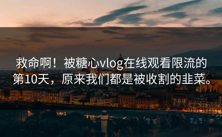 救命啊！被糖心vlog在线观看限流的第10天，原来我们都是被收割的韭菜。