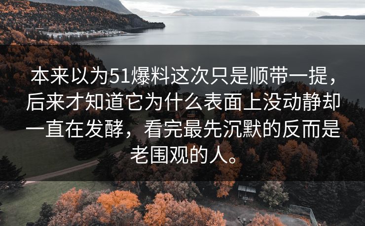本来以为51爆料这次只是顺带一提，后来才知道它为什么表面上没动静却一直在发酵，看完最先沉默的反而是老围观的人。