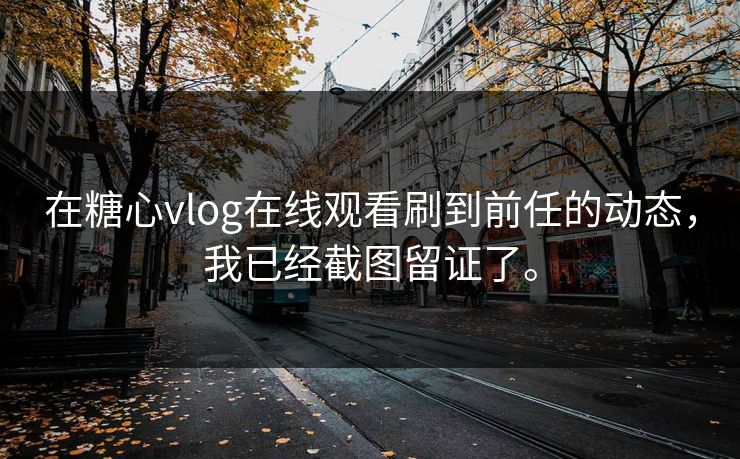 在糖心vlog在线观看刷到前任的动态，我已经截图留证了。